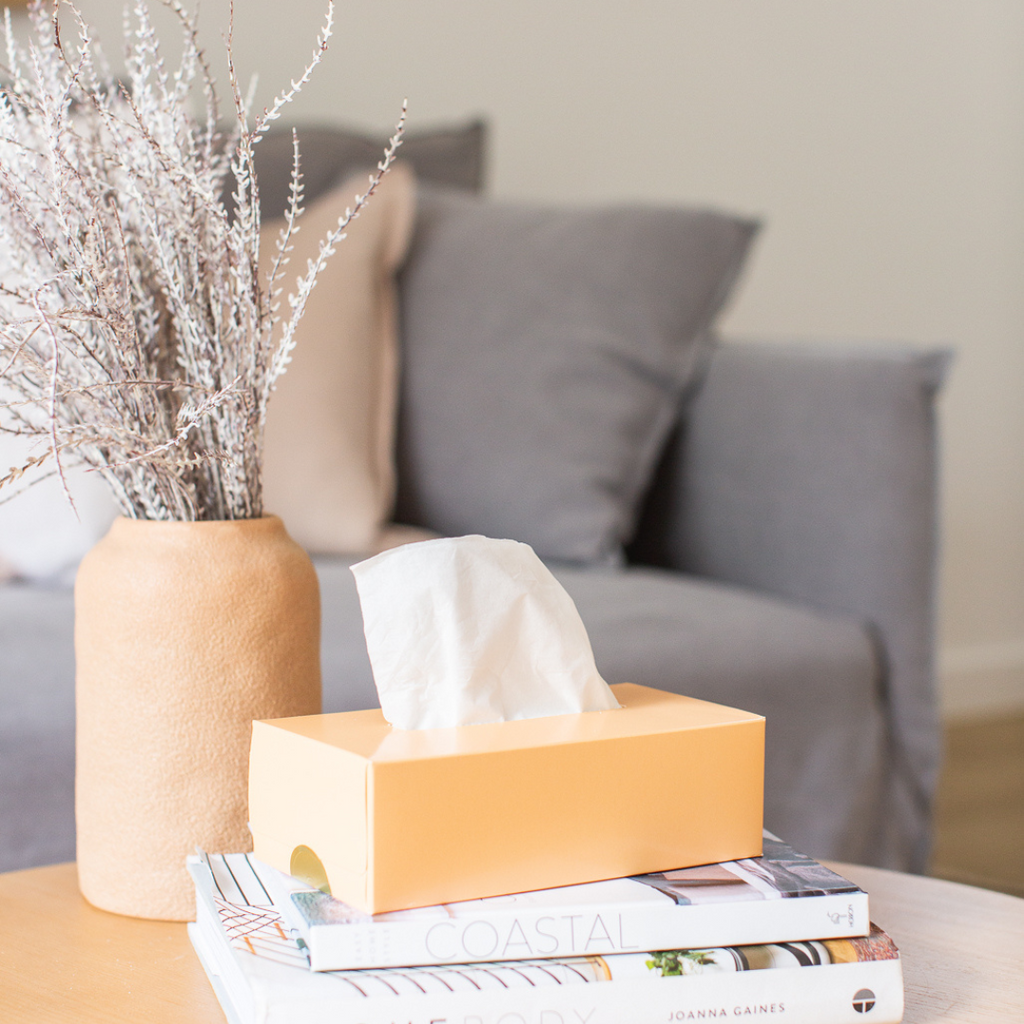How to Reduce Odours in Your Bathroom, Naturally